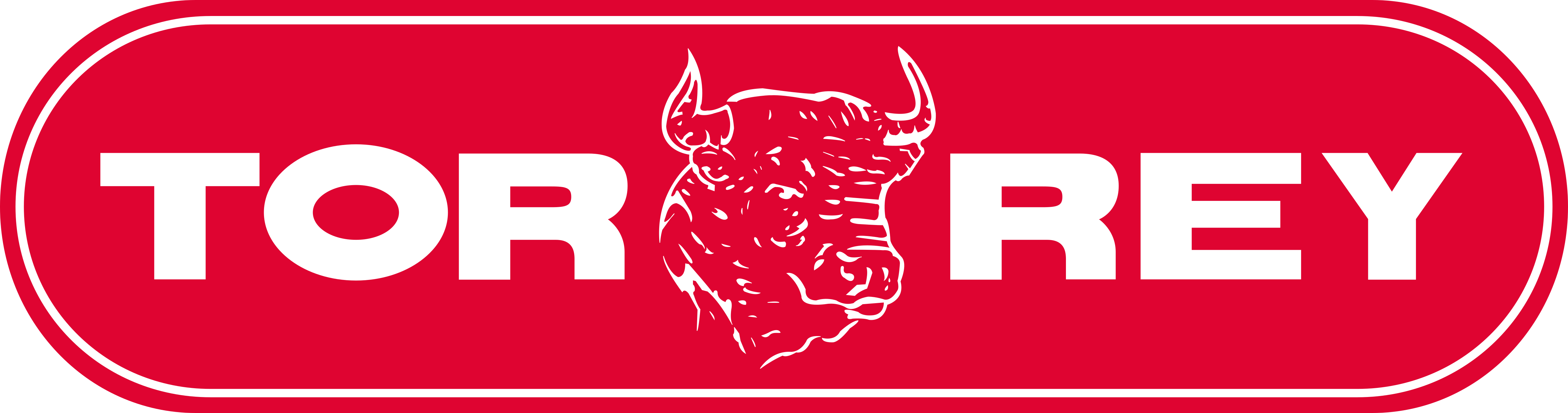 Logo de Torrey